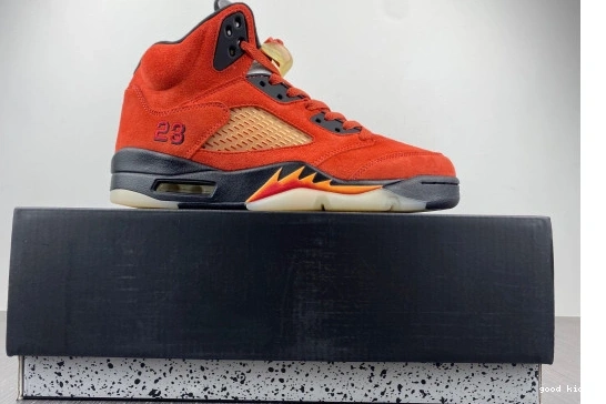 5 DD9336-800 on Jordan DD9336-800 Mars Retro Dunk 0501